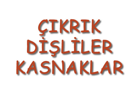 Çıkrık,Dişliler,Kasnaklar