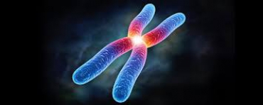 DNA nın Yapısı ve Özellikleri Test 5 Çözümleri