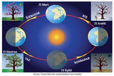 Mevsimlerin Oluşumu Etkinlik 3 Çözümleri