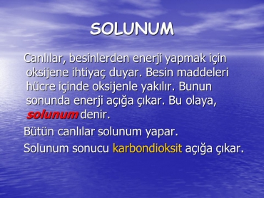 6. Ünite Enerji Dönüşümü ve Çevre Bilimi Enerji Dönüşümleri Solunum Konu Anlatım Sayfaları