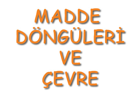 Madde Döngüleri ve Çevre