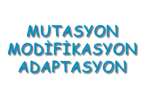 Mutasyon-Modifikasyon-Adaptasyon