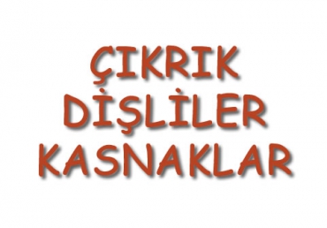 Çıkrık Dişliler Kasnak