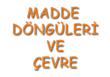 Madde Döngüleri ve Çevre